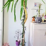 Al Ponto Apartamento Rovinj
