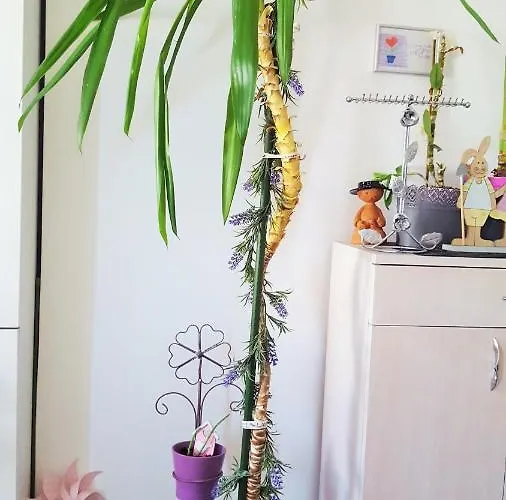 Studio Al Ponto Apartman Rovinj